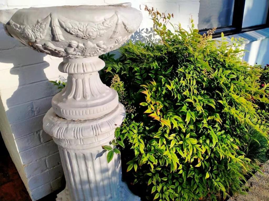 Quiet Burrow In Mornington Center Villa Luaran gambar